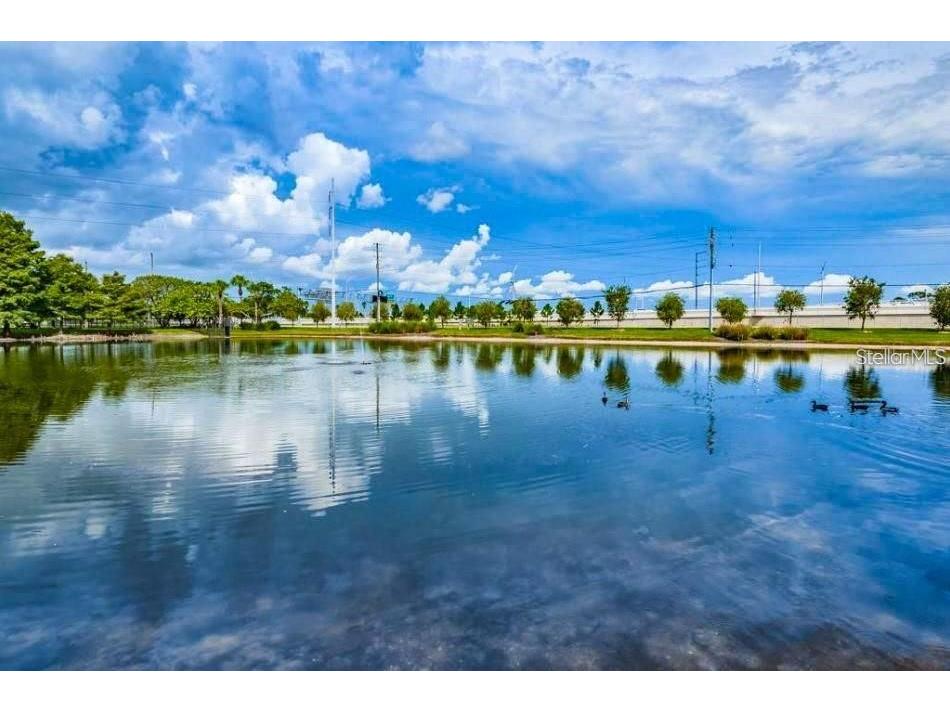 1400 Gandy Boulevard N #1107 Saint Petersburg FL 33702 TB8510174 image49
