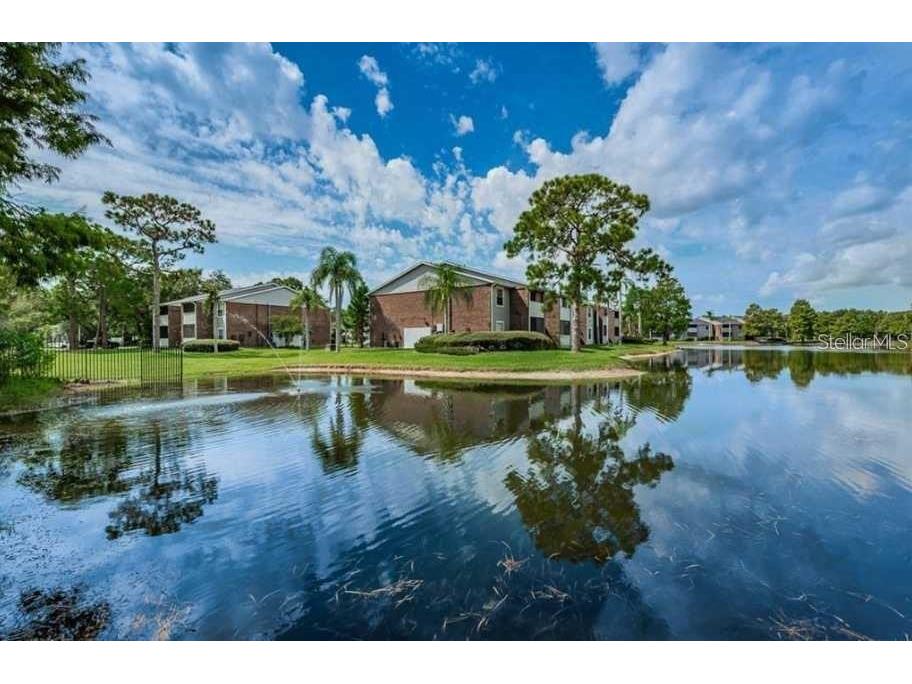 1400 Gandy Boulevard N #1107 Saint Petersburg FL 33702 TB8510174 image58