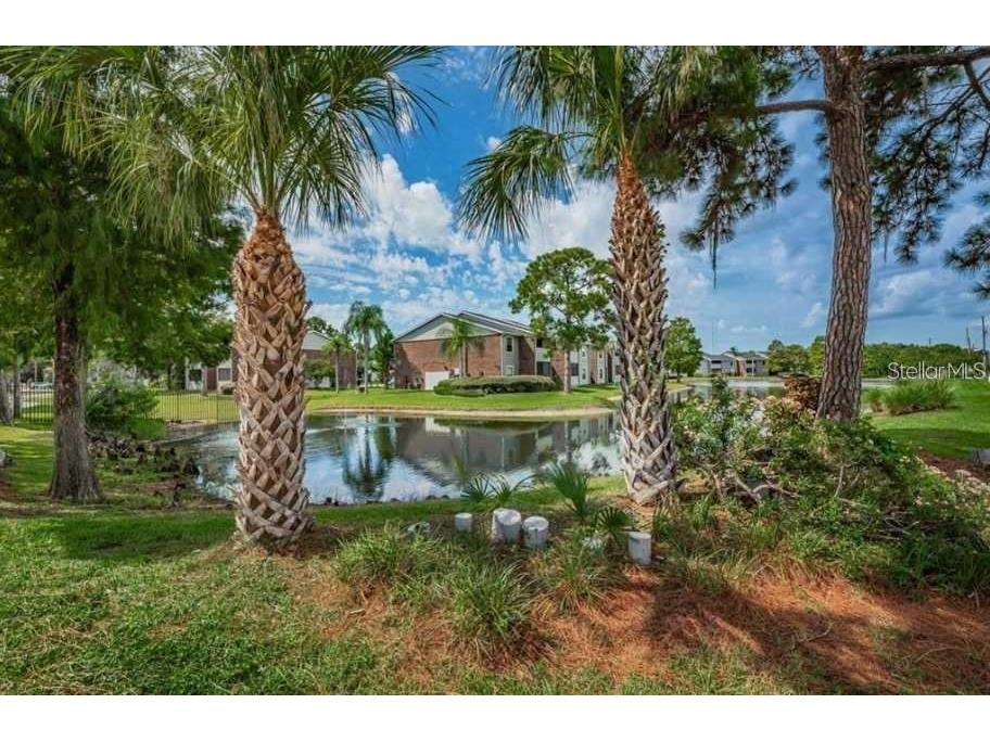 1400 Gandy Boulevard N #1107 Saint Petersburg FL 33702 TB8510174 image69
