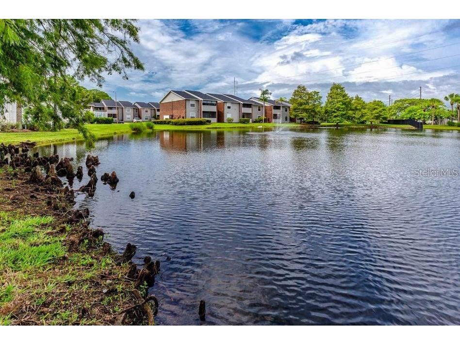 1400 Gandy Boulevard N #1107 Saint Petersburg FL 33702 TB8510174 image70