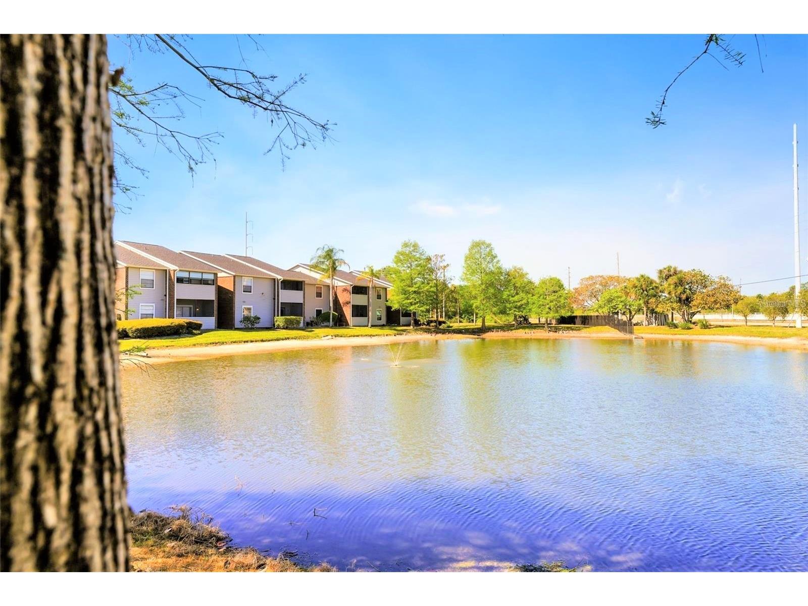 1400 Gandy Boulevard N #113 Saint Petersburg FL 33702 TB8485871 image31