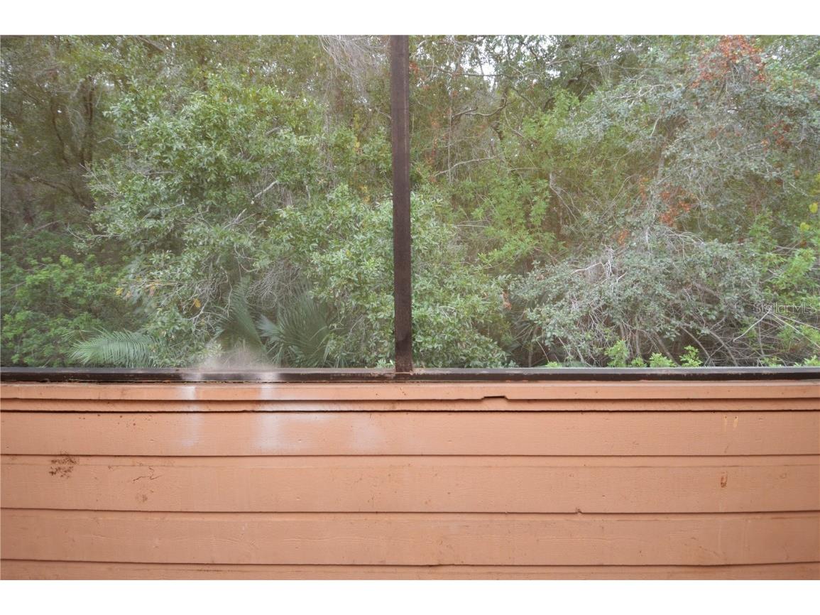 1400 Gandy Boulevard N #1416 Saint Petersburg FL 33702 TB8456621 image42