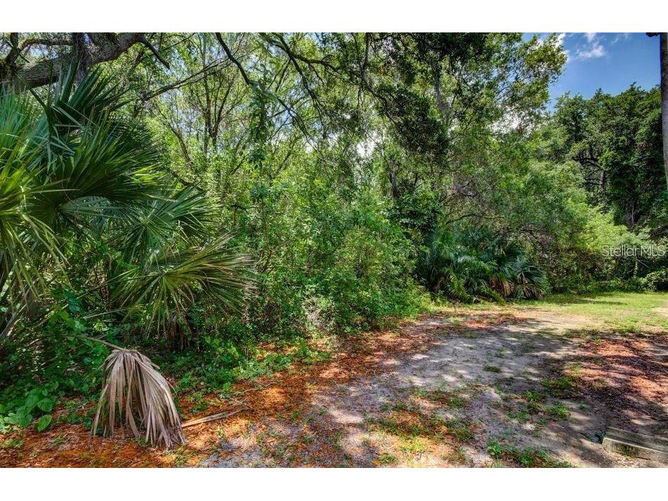 1400 Gandy Boulevard N #1416 Saint Petersburg FL 33702 TB8456621 image45