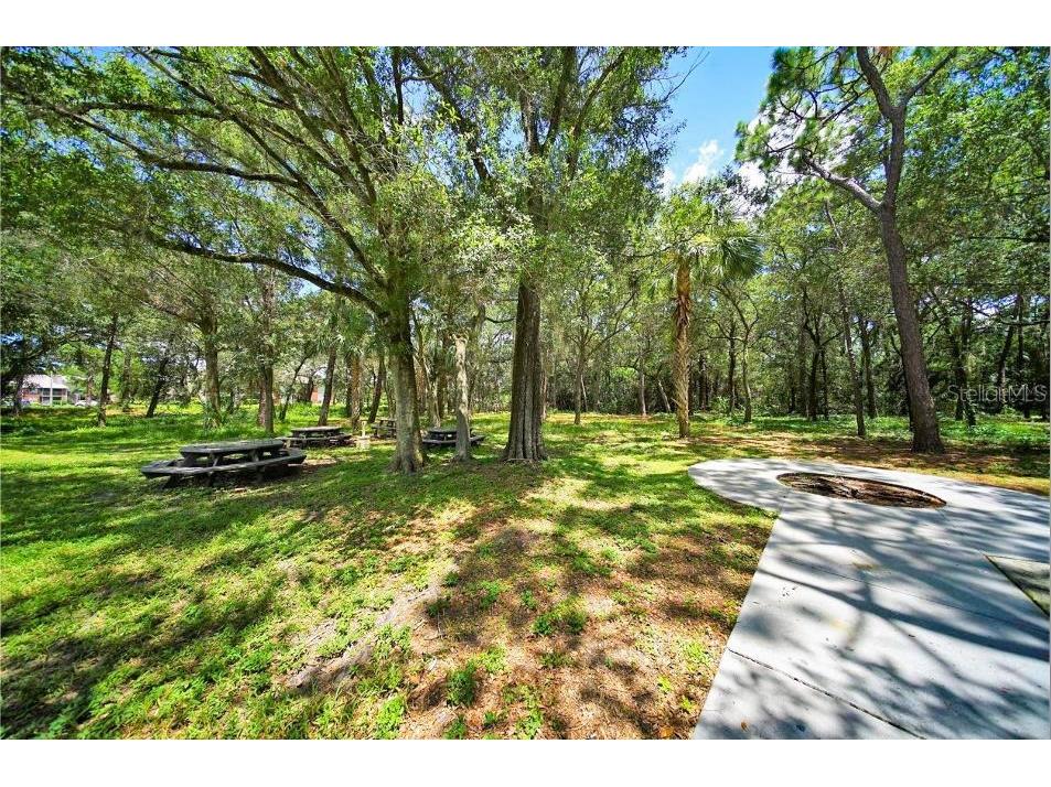 1400 Gandy Boulevard N #1416 Saint Petersburg FL 33702 TB8456621 image50