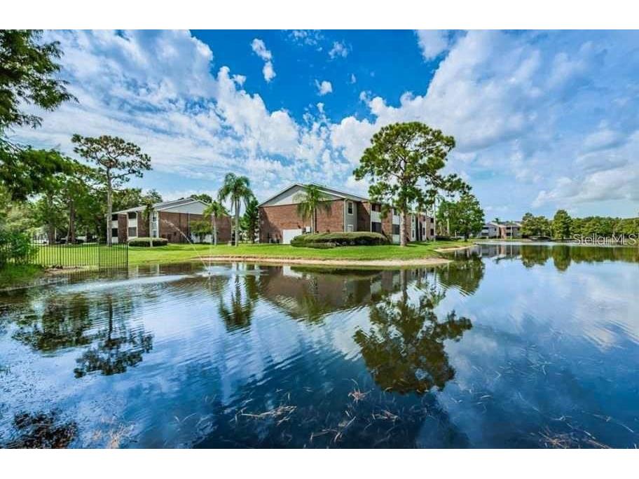 1400 Gandy Boulevard N #1416 Saint Petersburg FL 33702 TB8456621 image59