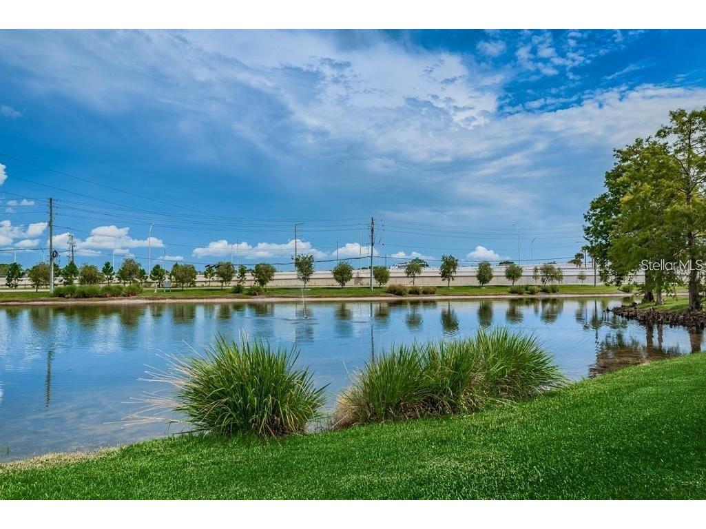 1400 Gandy Boulevard N #1416 Saint Petersburg FL 33702 TB8456621 image68