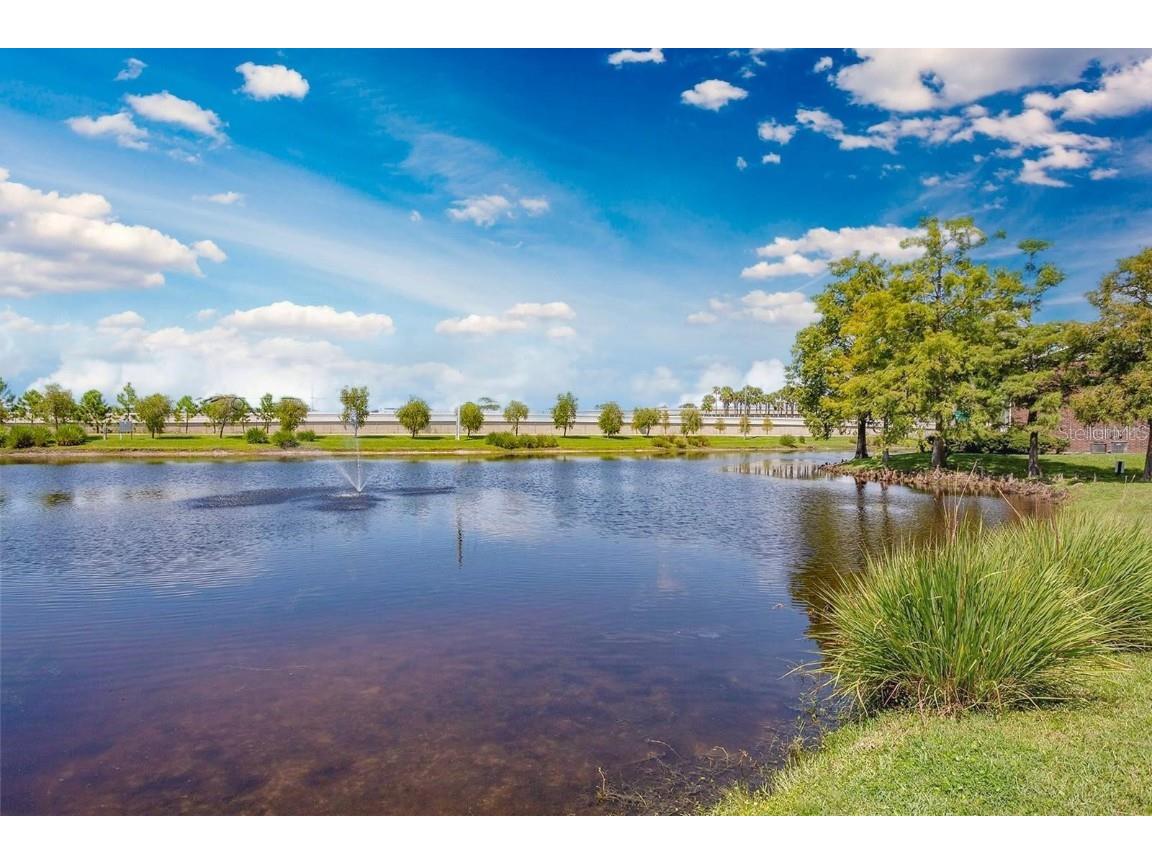 1400 Gandy Boulevard N #1416 Saint Petersburg FL 33702 TB8456621 image69