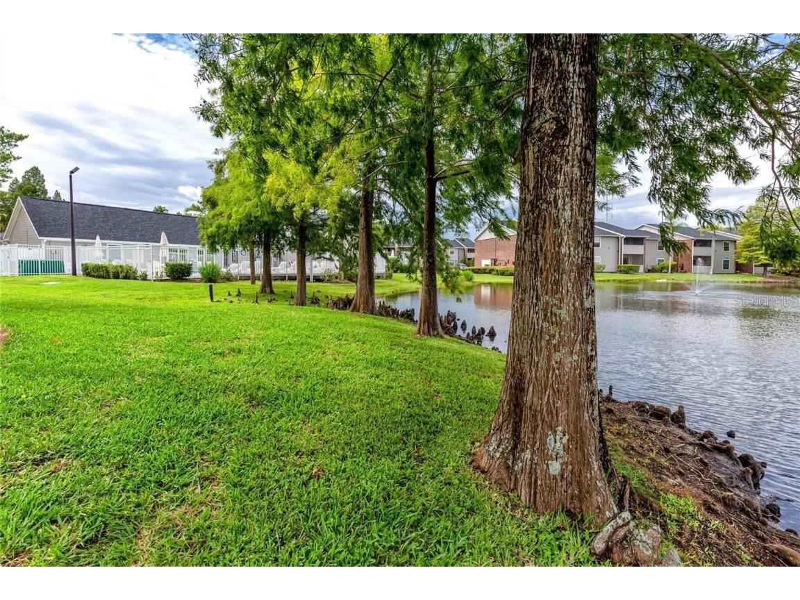 1400 Gandy Boulevard N #1416 Saint Petersburg FL 33702 TB8456621 image70