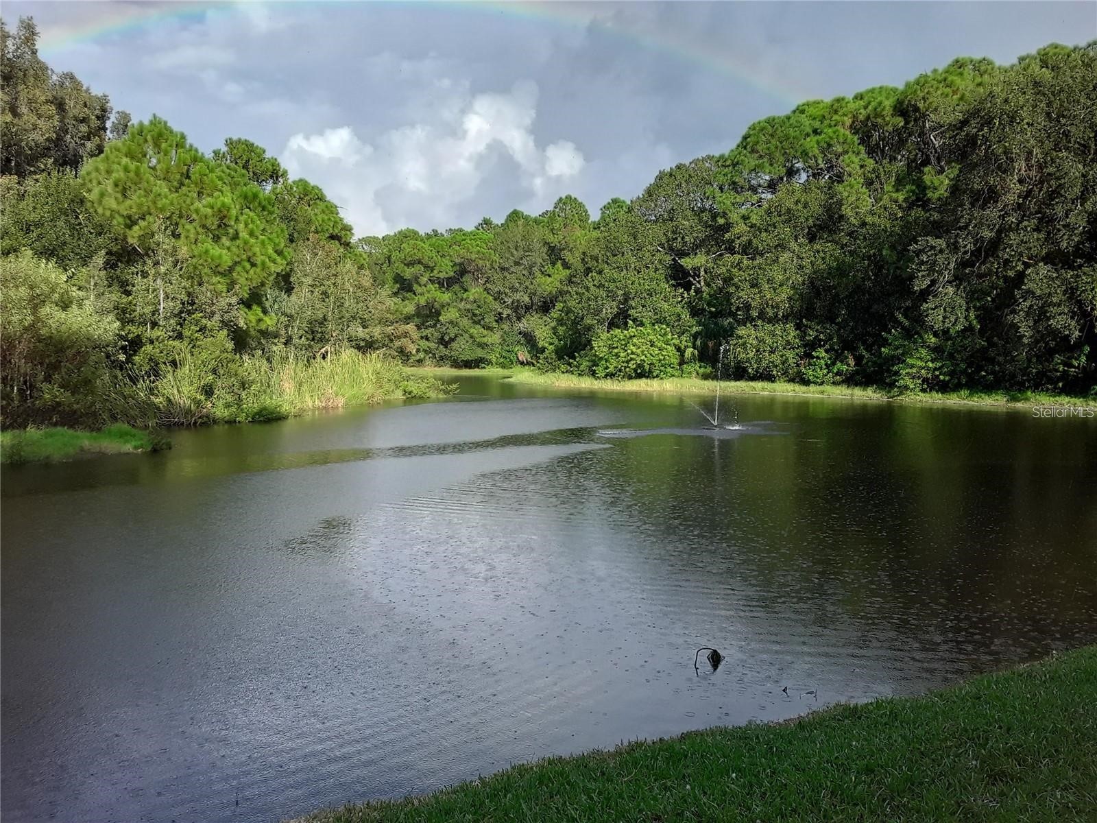 1400 Gandy Boulevard N #1610 Saint Petersburg FL 33702 TB8438314 image4