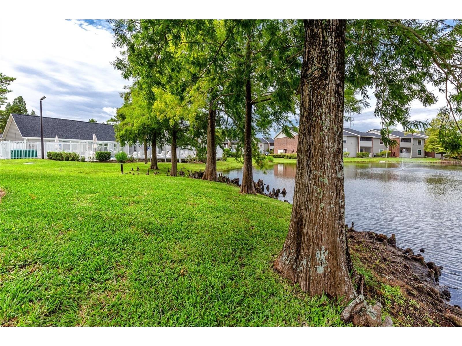 1400 Gandy Boulevard N #412 Saint Petersburg FL 33702 - WINDJAMMER TB8487576 image42