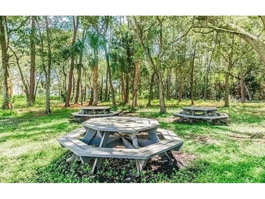 1400 Gandy Boulevard N #512 Saint Petersburg FL 33702 TB8468459 image18