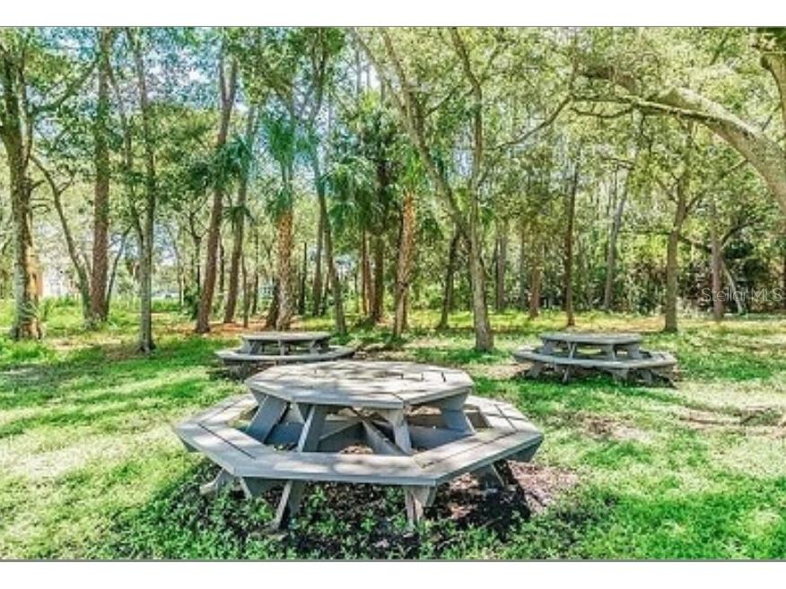 1400 Gandy Boulevard N #512 Saint Petersburg FL 33702 TB8489510 image16