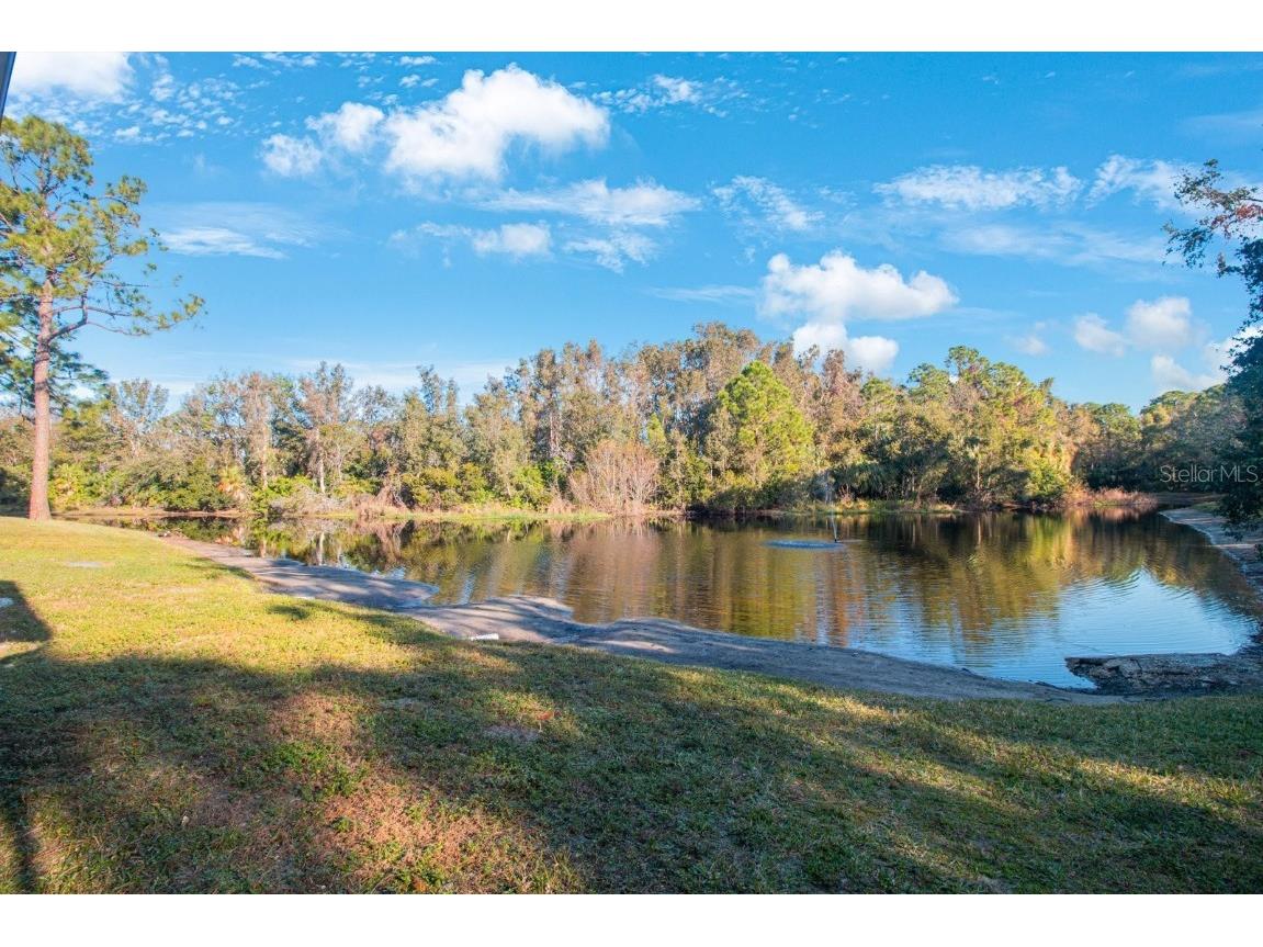 1400 Gandy Boulevard N #715 Saint Petersburg FL 33702 TB8329639 image35