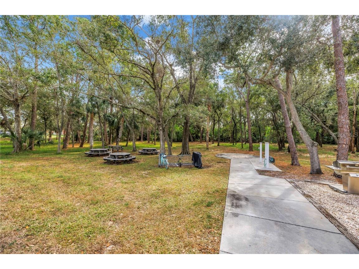 1400 Gandy Boulevard N #902 Saint Petersburg FL 33702 TB8454905 image24