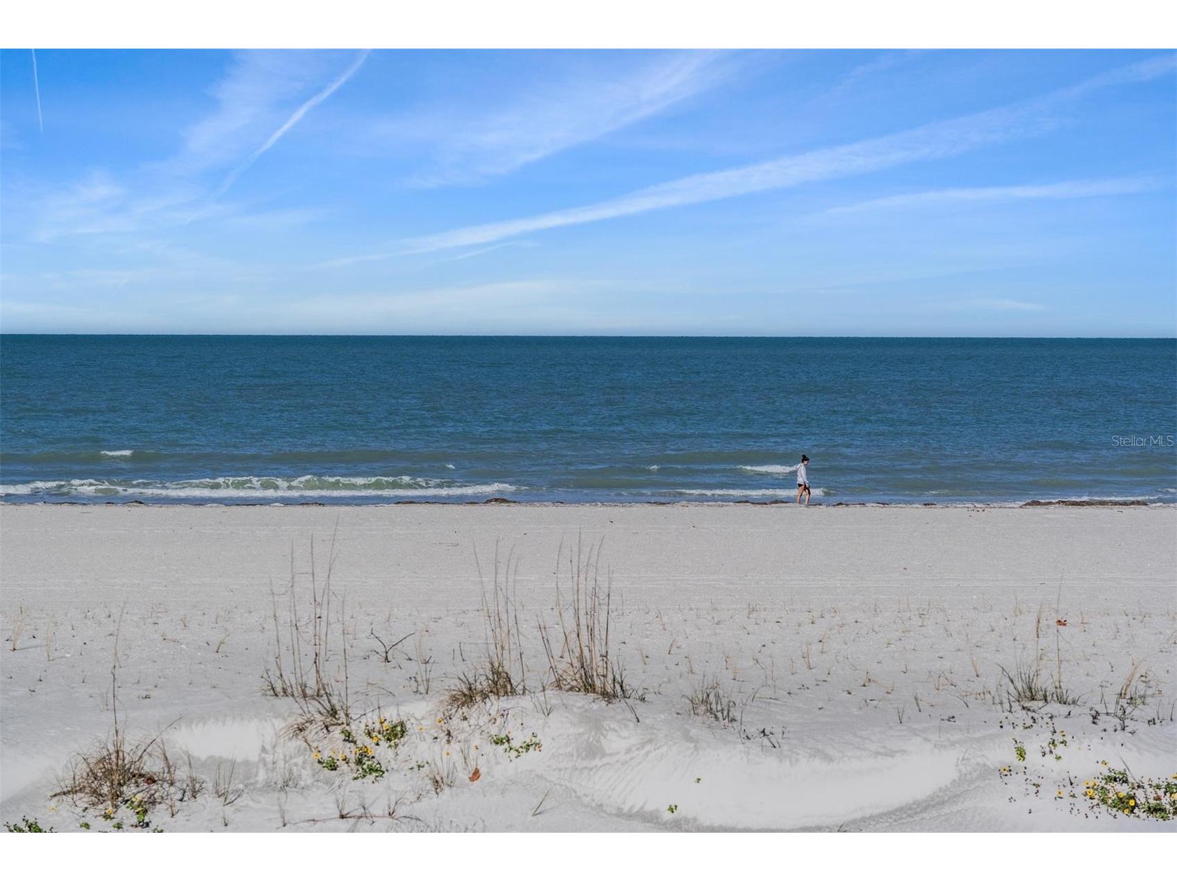 1400 Gulf Boulevard #109 Clearwater Beach FL 33767 TB8476827 image41