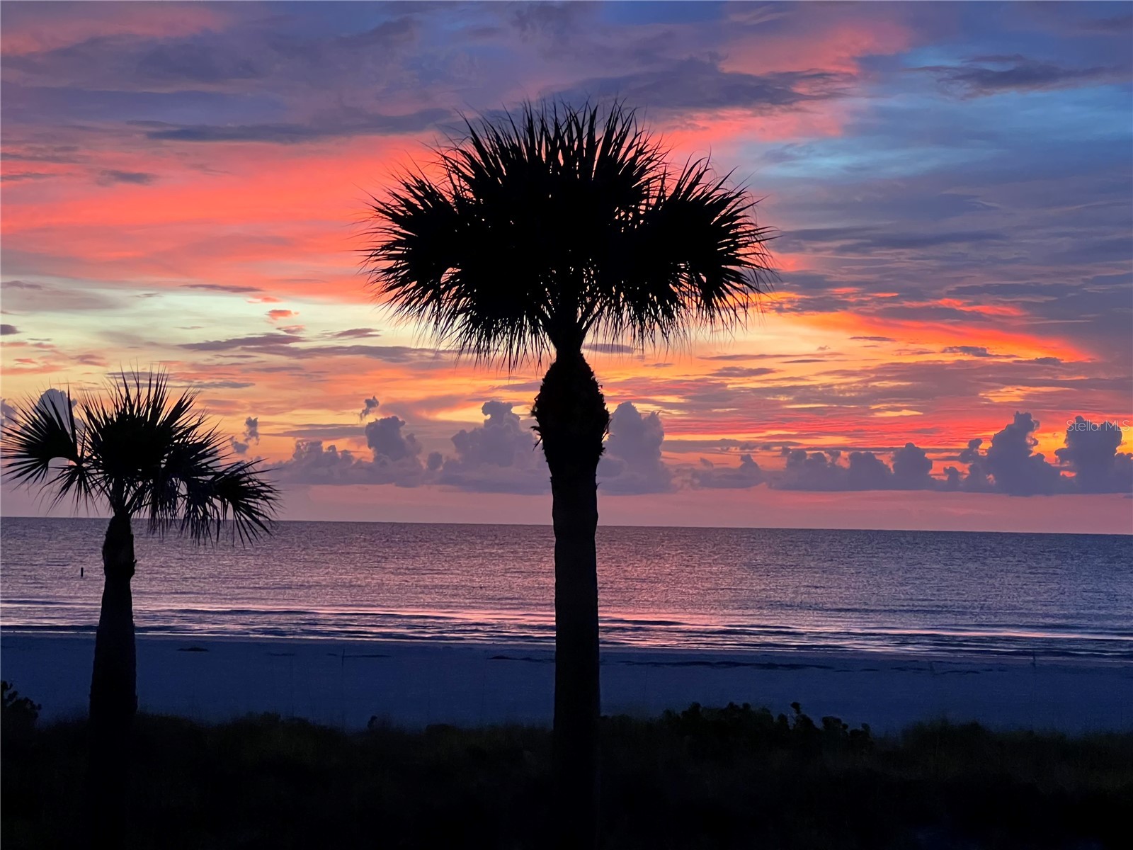 1400 Gulf Boulevard #109 Clearwater Beach FL 33767 TB8476827 image64
