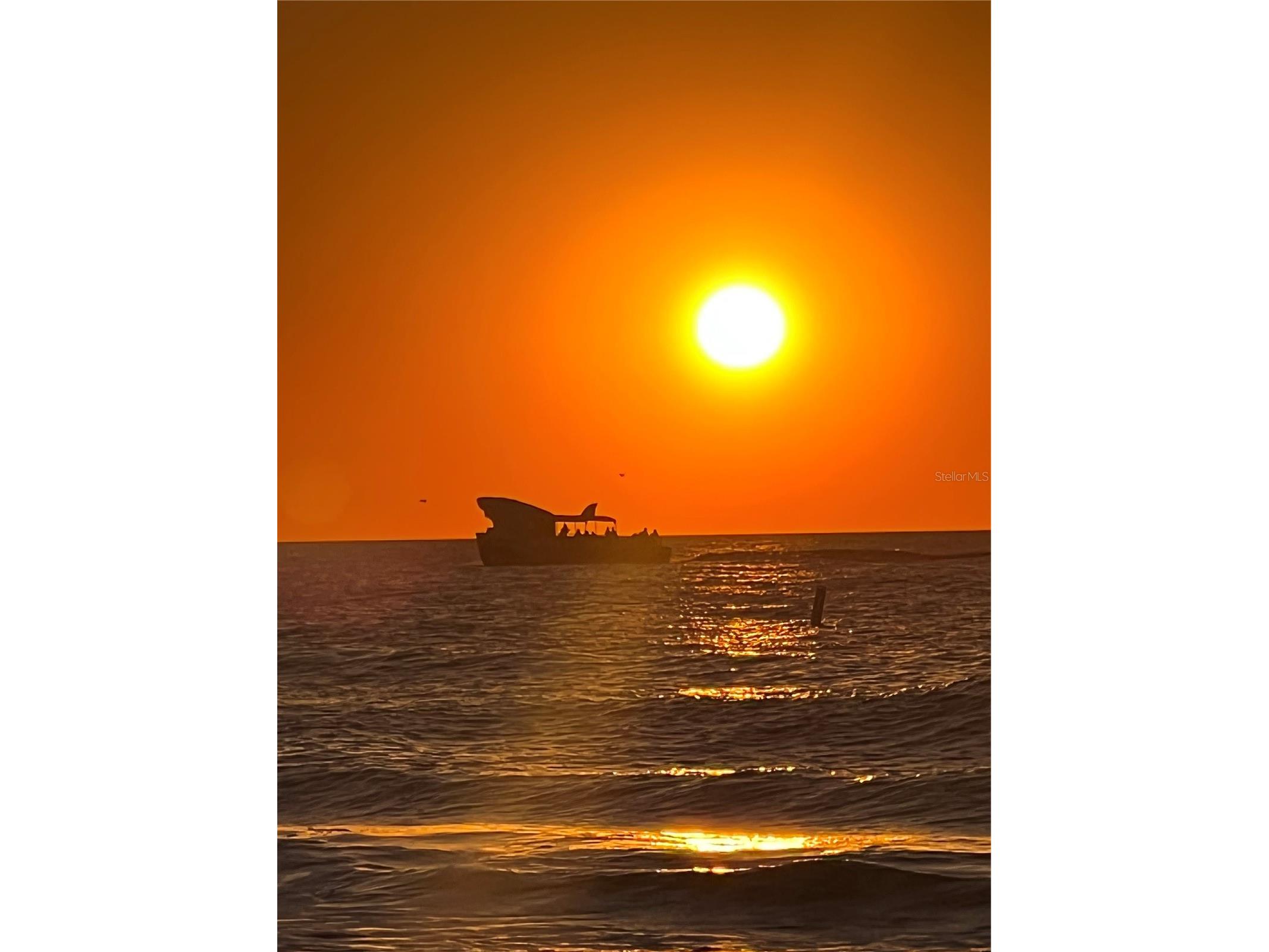 1400 Gulf Boulevard #109 Clearwater Beach FL 33767 TB8476827 image65
