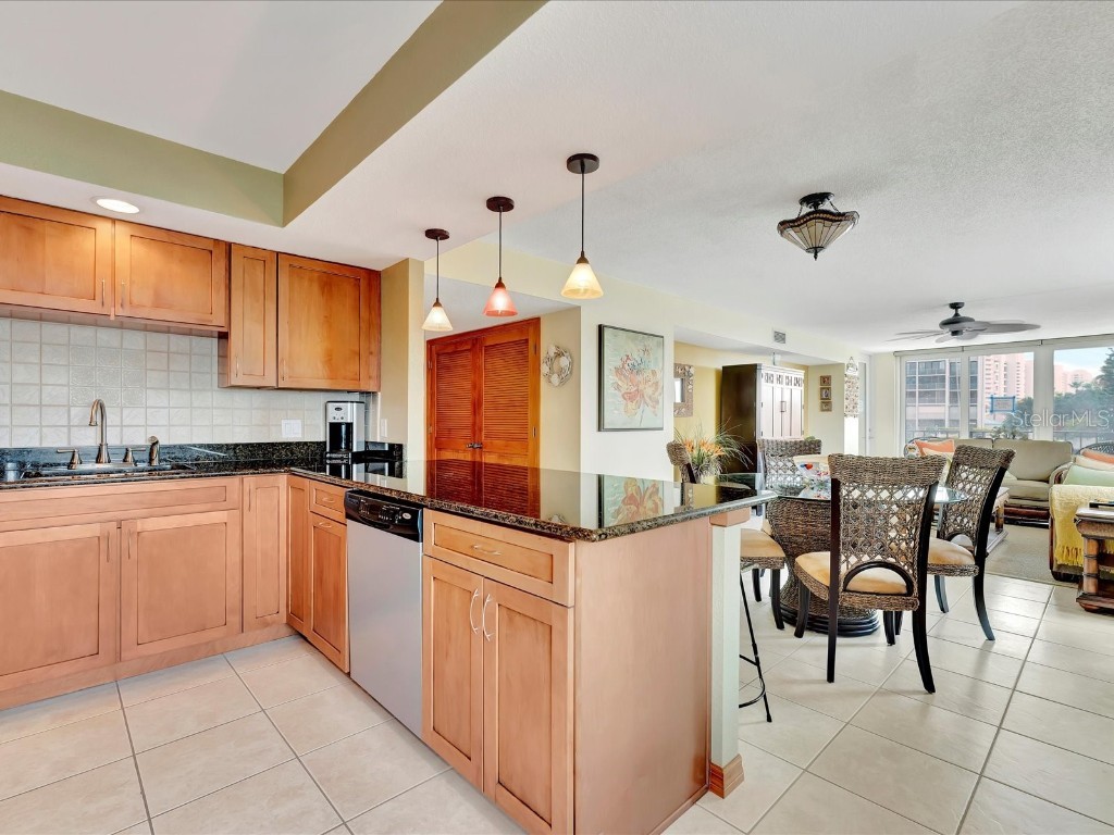 1400 Gulf Boulevard #204 Clearwater Beach FL 33767 TB8425088 image10