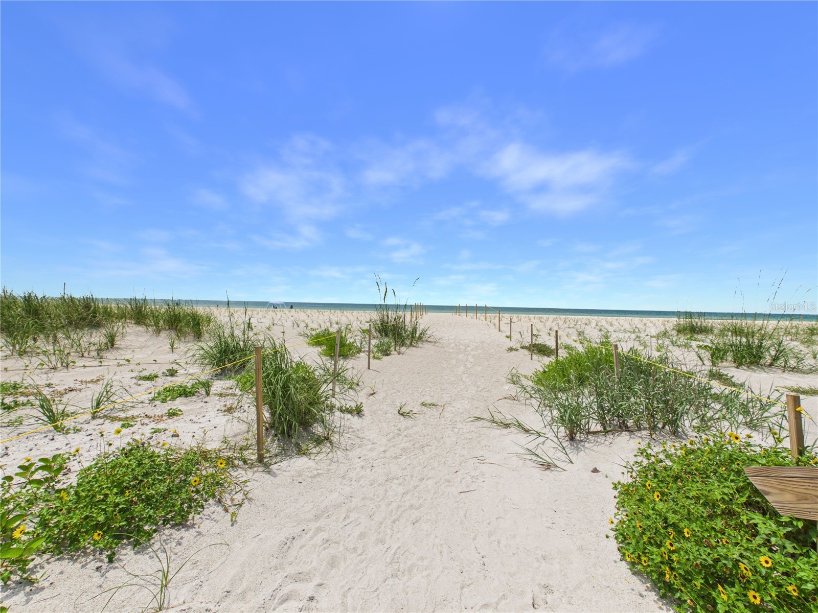 1400 Gulf Boulevard #212 Clearwater Beach FL 33767 TB8515879 image45