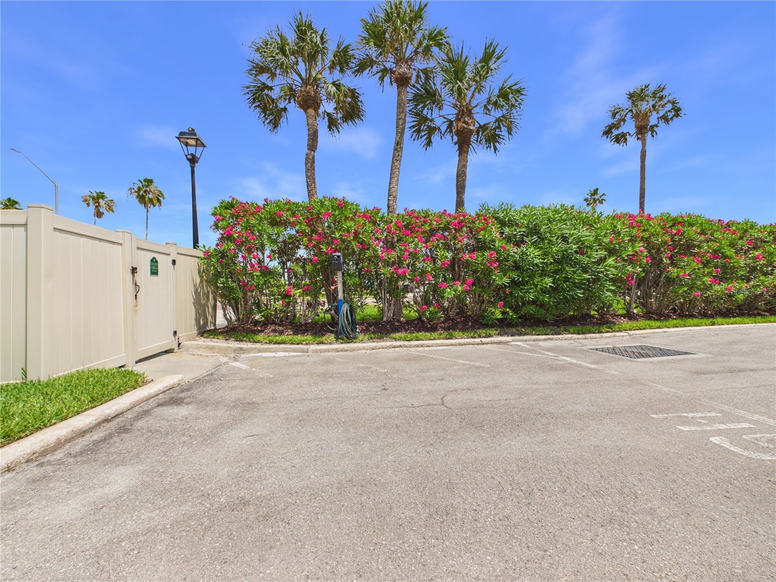 1400 Gulf Boulevard #212 Clearwater Beach FL 33767 TB8515879 image46