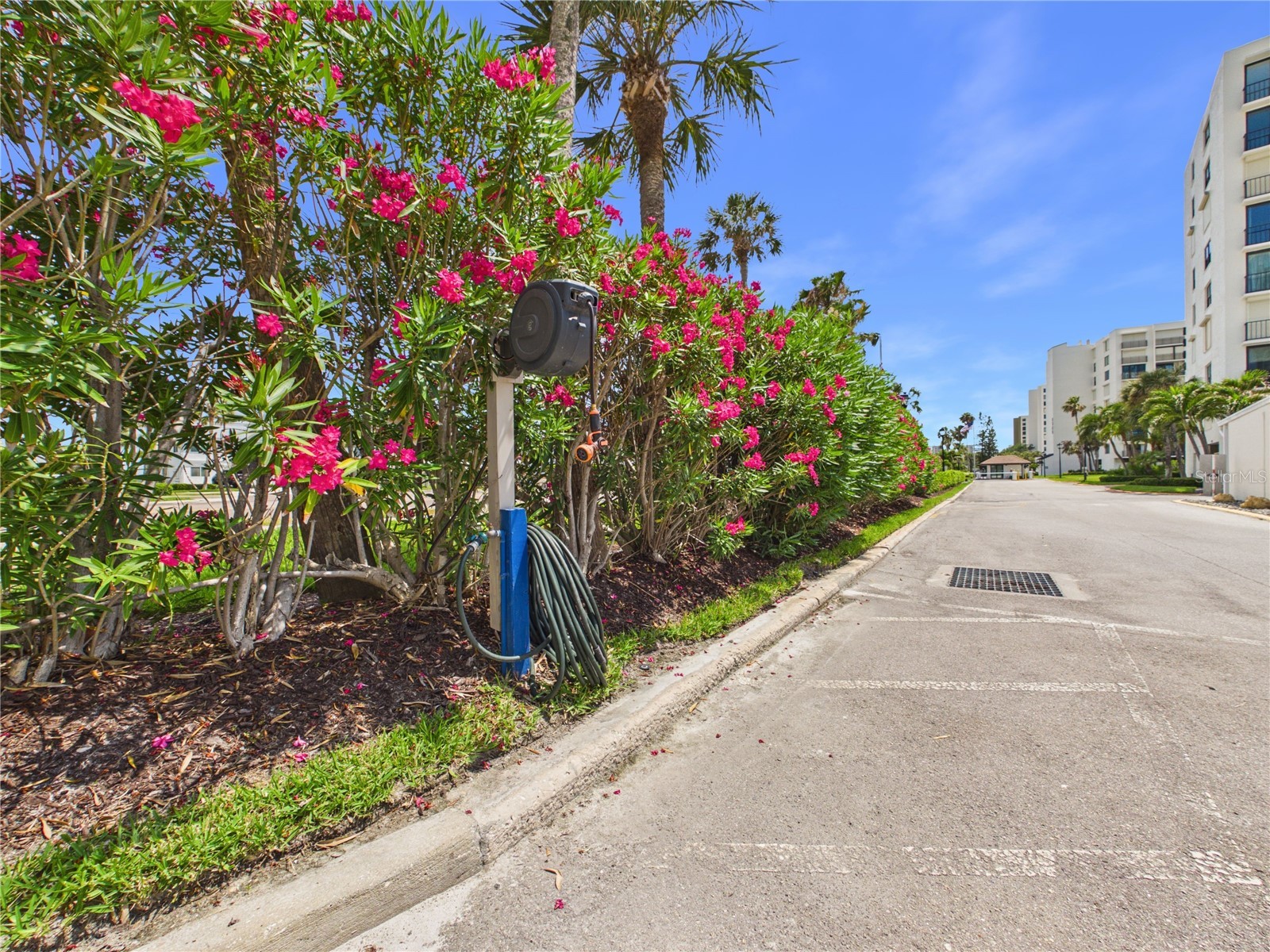 1400 Gulf Boulevard #212 Clearwater Beach FL 33767 TB8515879 image76