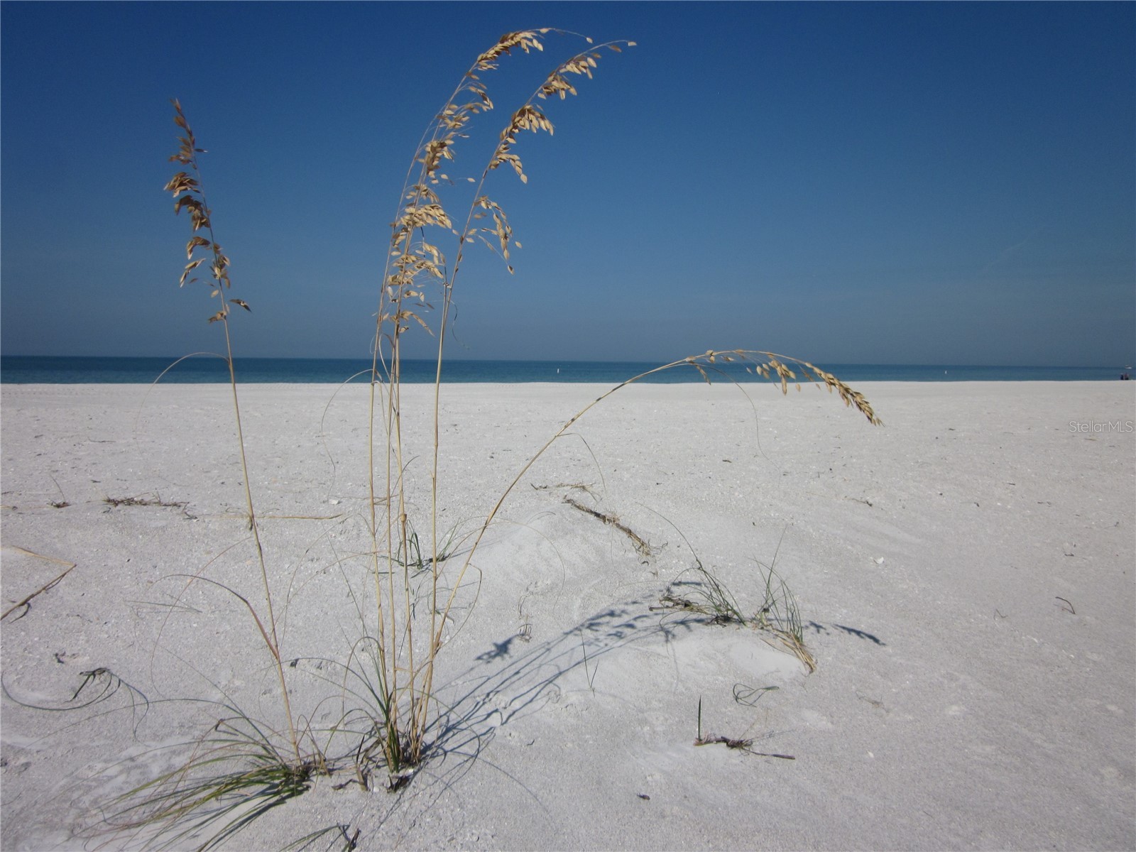 1400 Gulf Boulevard #608 Clearwater Beach FL 33767 TB8449840 image29