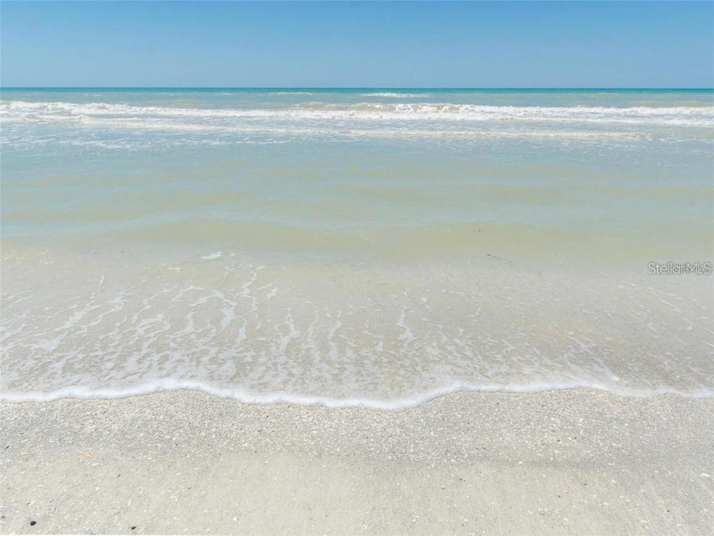 1400 Gulf Boulevard #701 Clearwater Beach FL 33767 TB8446882 image41