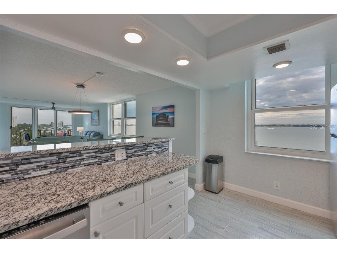 1400 Gulf Boulevard #704 Clearwater Beach FL 33767 TB8433543 image13