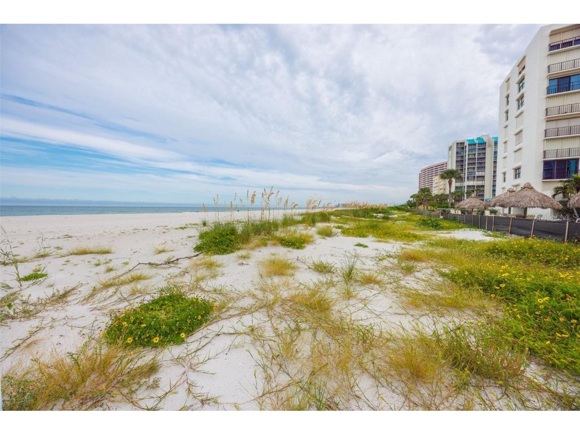 1400 Gulf Boulevard #704 Clearwater Beach FL 33767 TB8433543 image25
