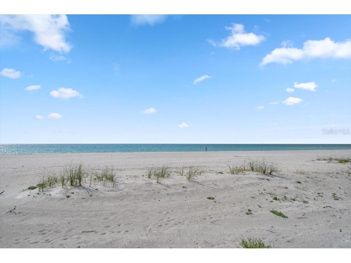 1400 Gulf Boulevard #804 Clearwater Beach FL 33767 TB8384130 image29