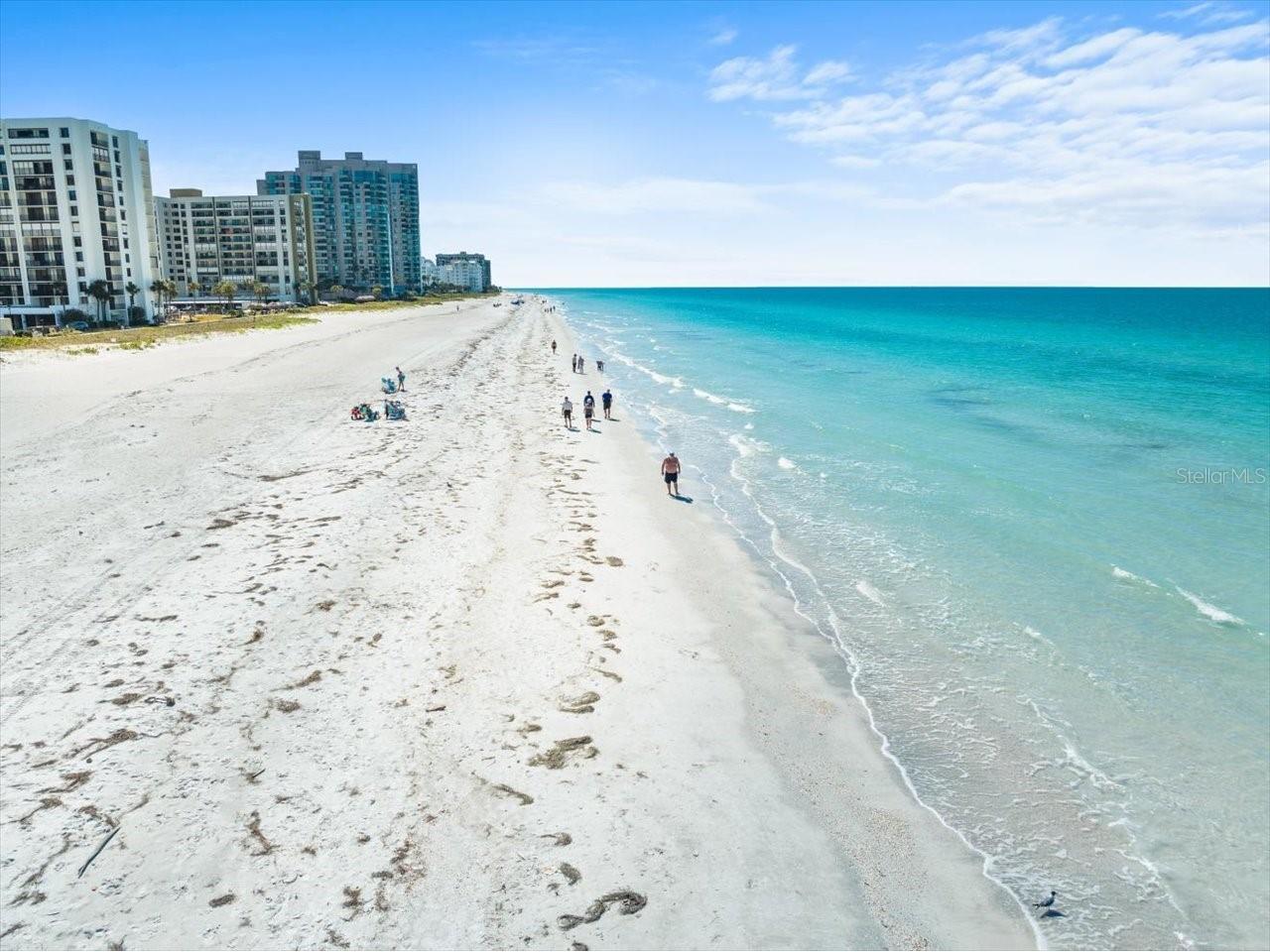 1400 Gulf Boulevard #806 Clearwater FL 33767 - GULF OF AMERICA TB8464643 image51