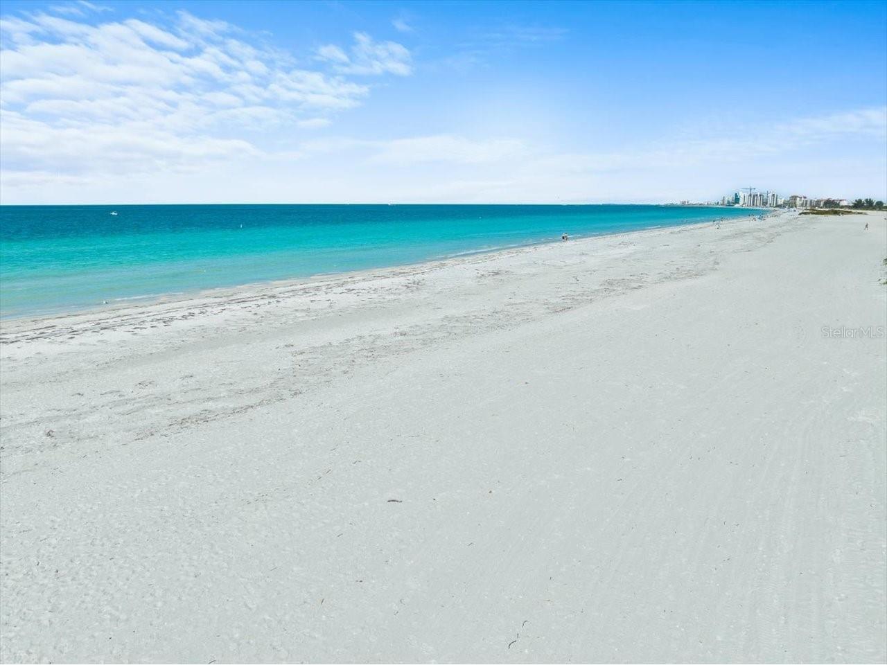 1400 Gulf Boulevard #806 Clearwater FL 33767 - GULF OF AMERICA TB8464643 image52