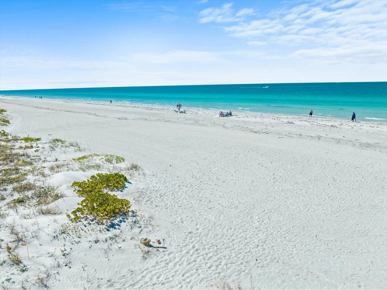 1400 Gulf Boulevard #806 Clearwater FL 33767 - GULF OF AMERICA TB8464643 image53