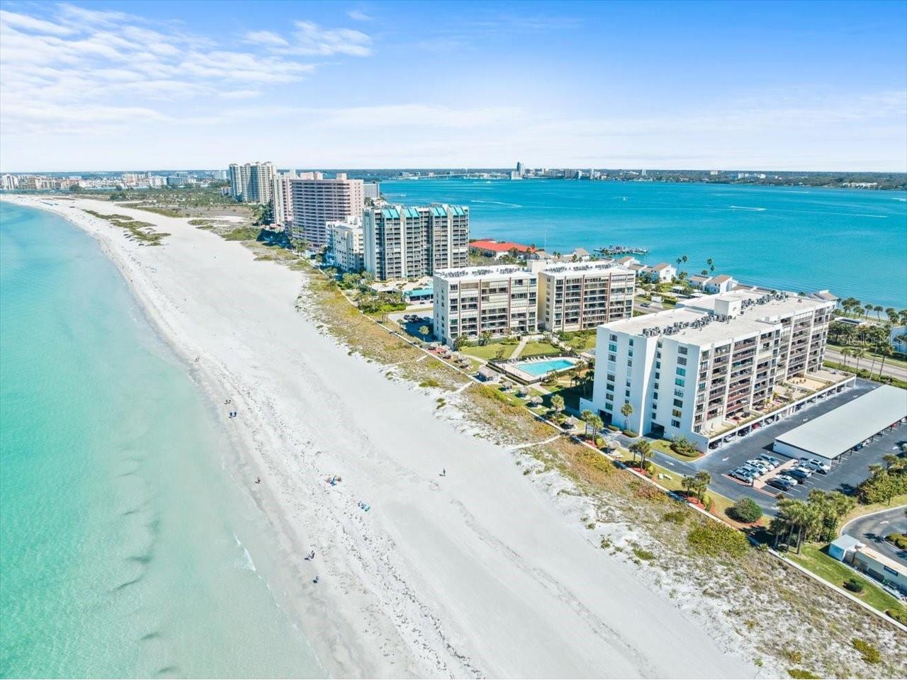1400 Gulf Boulevard #806 Clearwater FL 33767 - GULF OF AMERICA TB8464643 image54