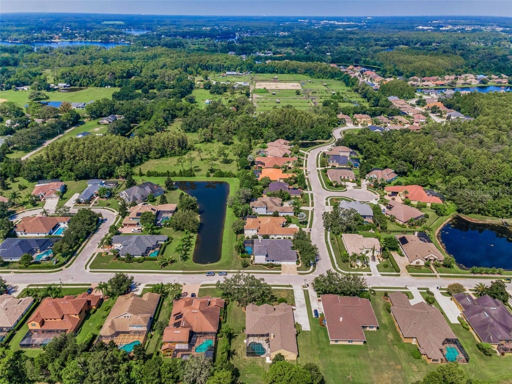 1400 Lake Polo Drive Odessa FL 33556 TB8421623 image39