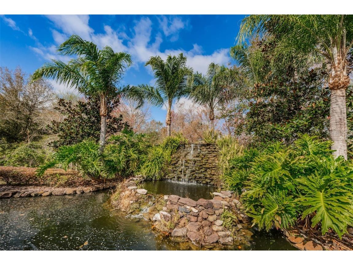 1400 Lake Polo Drive Odessa FL 33556 TB8421623 image46