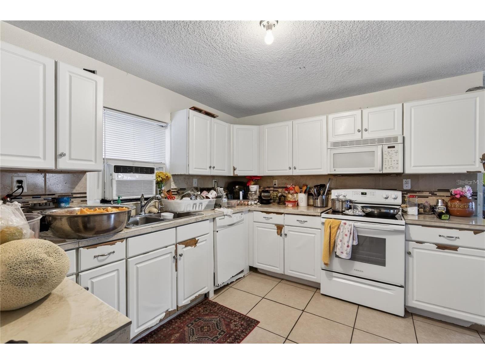 1400 N Simpson Street Mount Dora FL 32757 O6402866 image10
