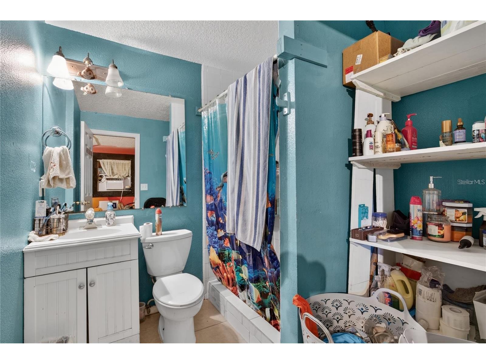 1400 N Simpson Street Mount Dora FL 32757 O6402866 image12