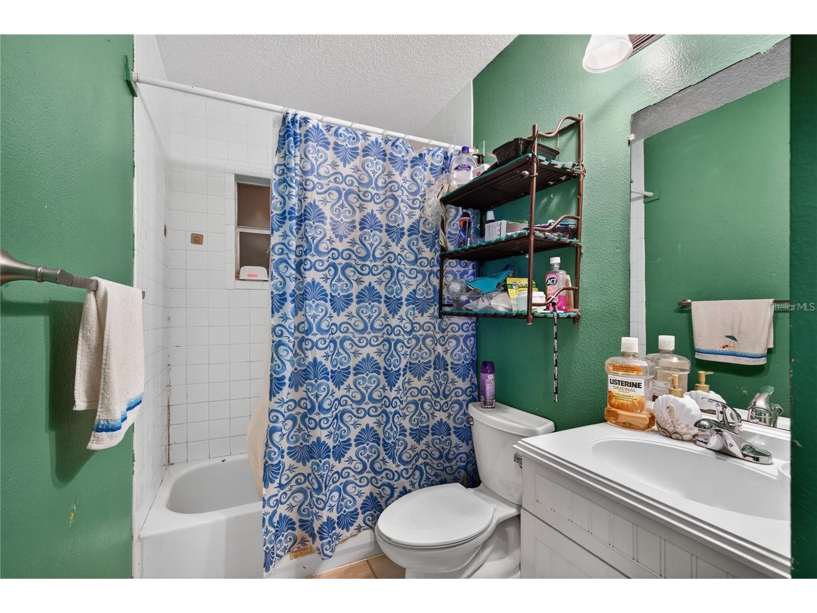 1400 N Simpson Street Mount Dora FL 32757 O6402866 image14