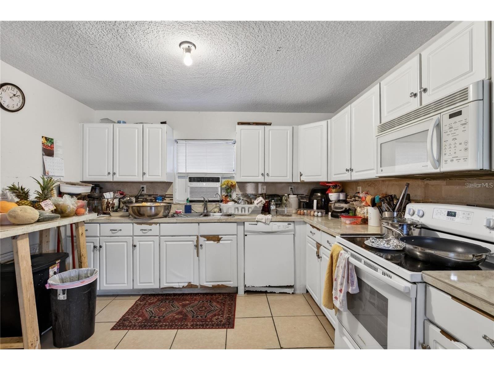 1400 N Simpson Street Mount Dora FL 32757 O6402866 image9
