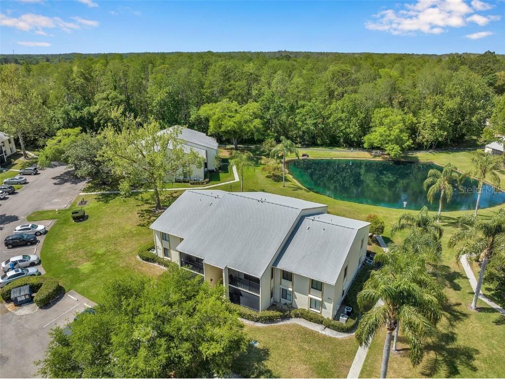 1400 Pine Glen Lane #A2 Tarpon Springs FL 34688 U8194409 image1