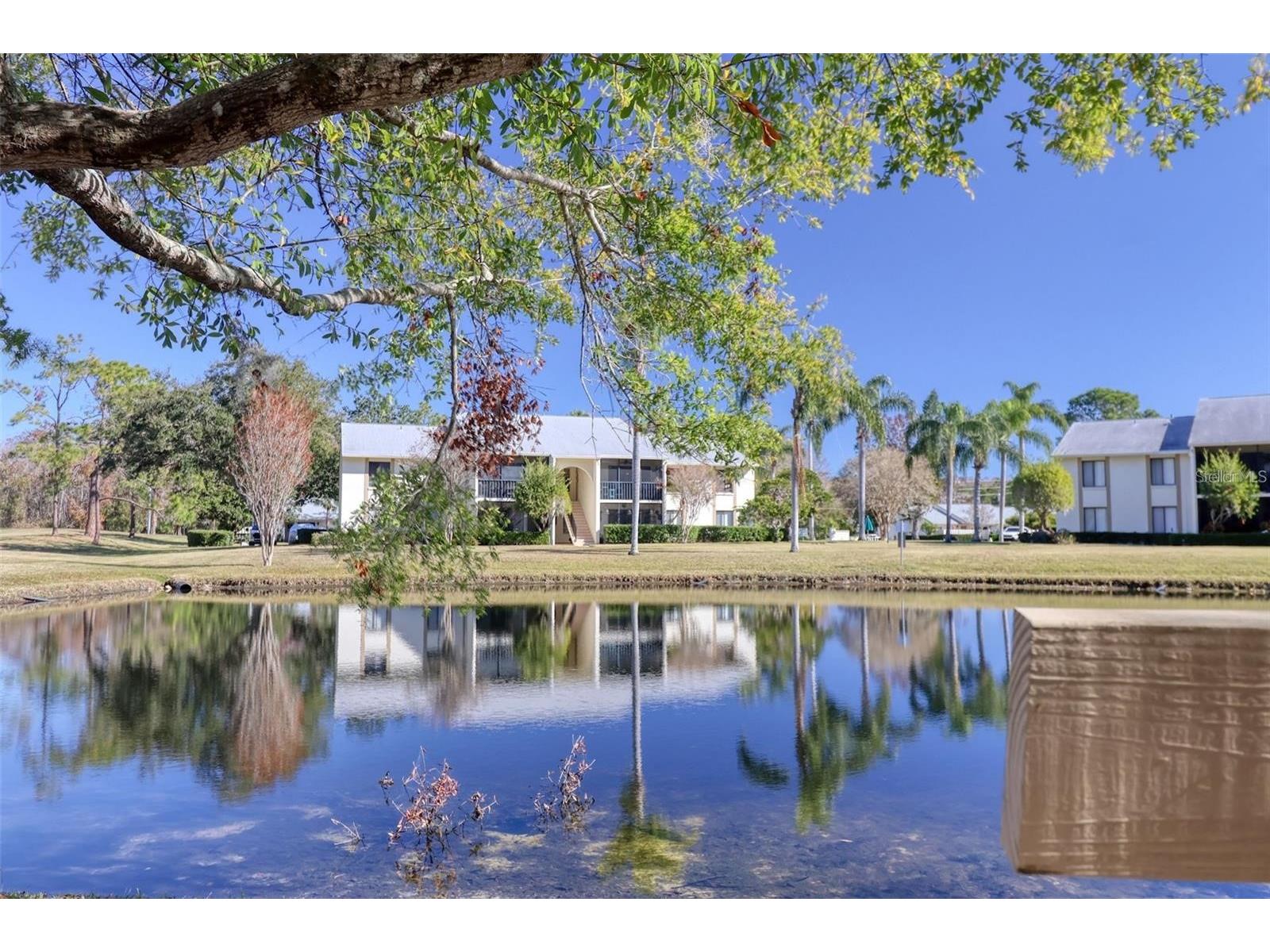 1400 Pine Glen Lane #D1 Tarpon Springs FL 34688 TB8425110 image36