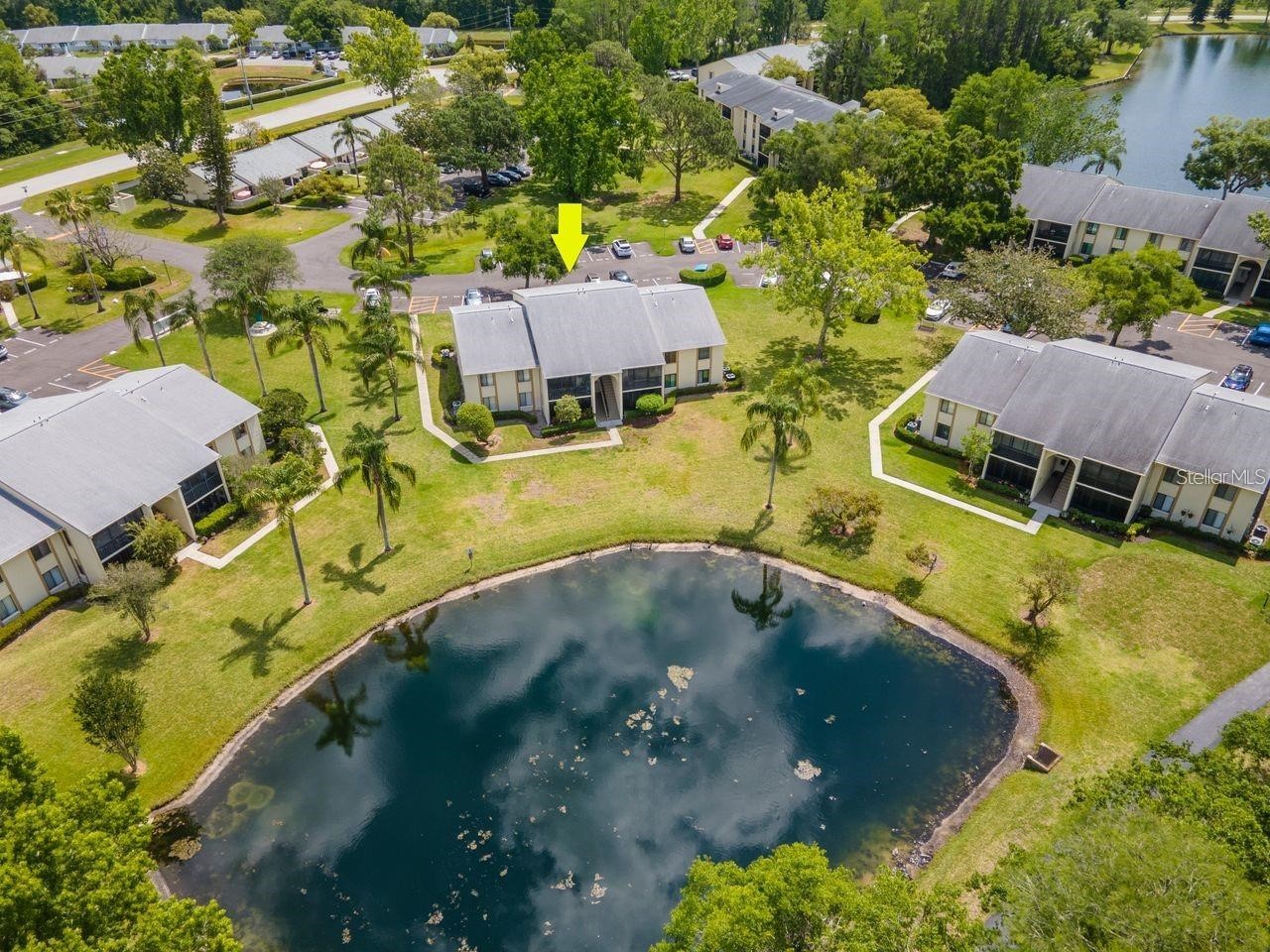 1400 Pine Glen Lane #D1 Tarpon Springs FL 34688 TB8425110 image40