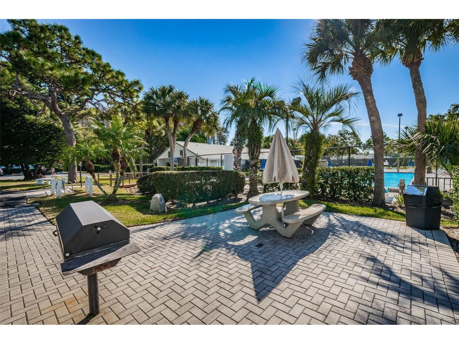 1400 Pine Glen Lane #D1 Tarpon Springs FL 34688 TB8425110 image41