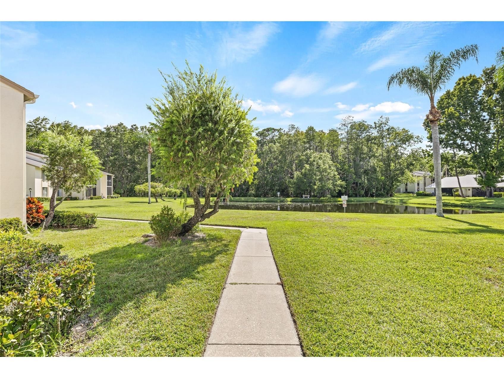 1400 Pine Glen Lane #D1 Tarpon Springs FL 34688 TB8425110 image44