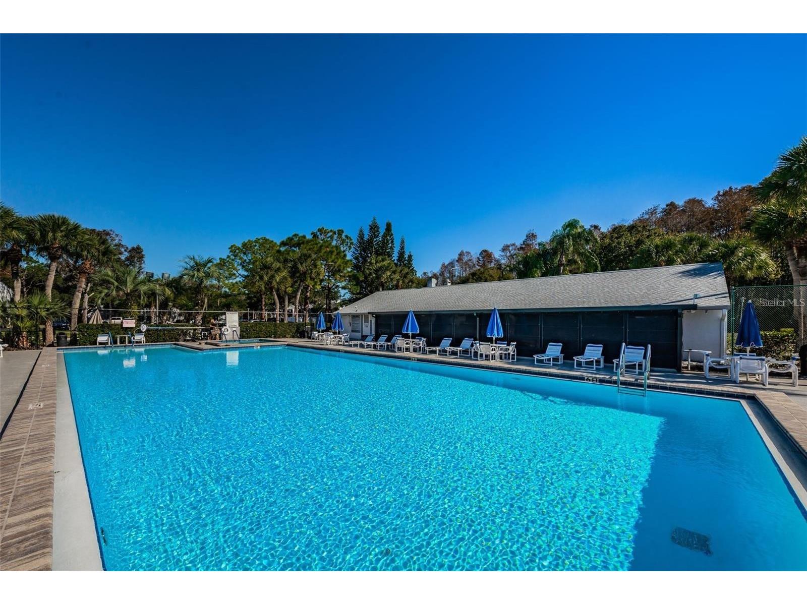 1400 Pine Glen Lane #D1 Tarpon Springs FL 34688 TB8425110 image46