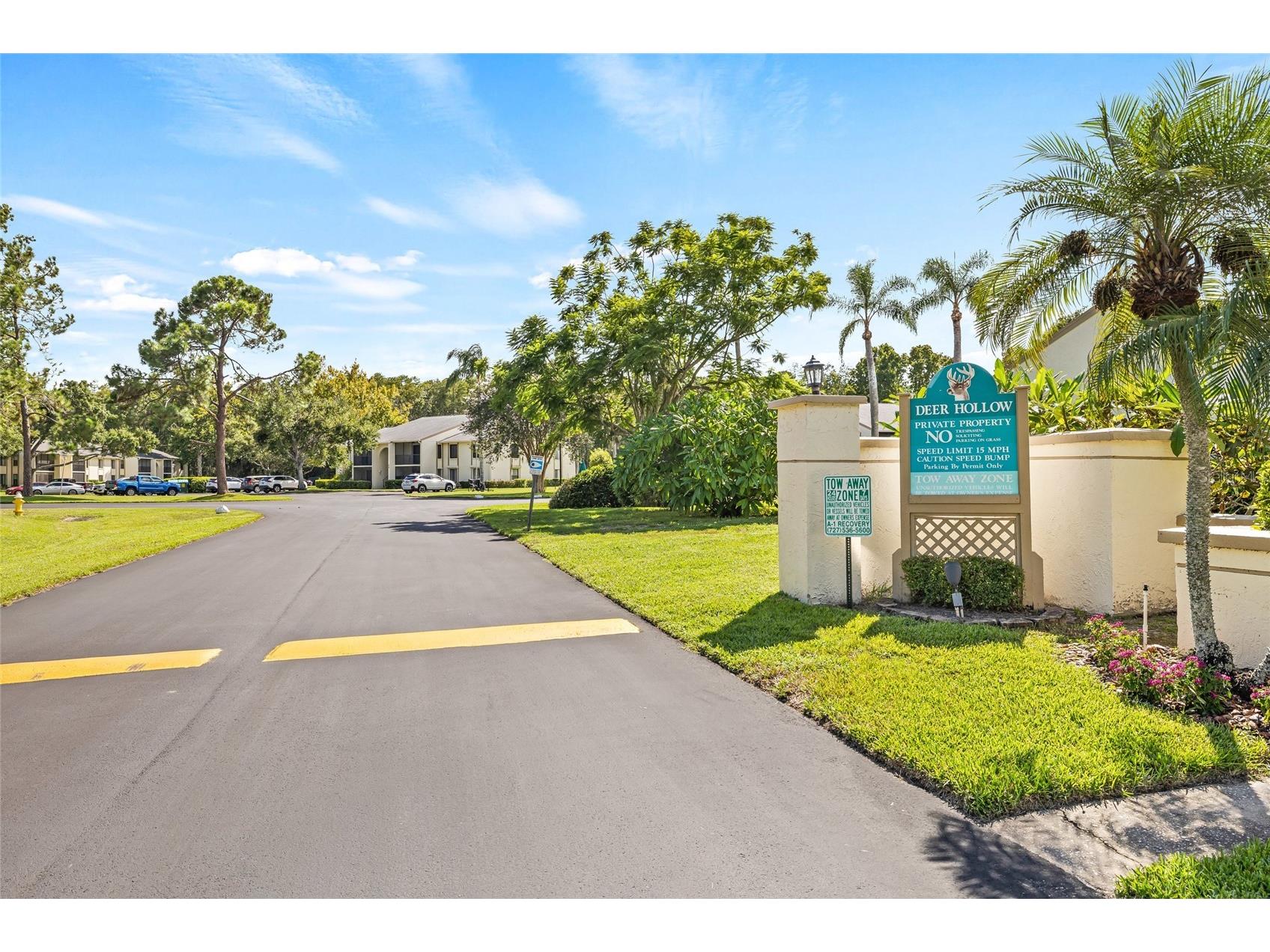 1400 Pine Glen Lane #D1 Tarpon Springs FL 34688 TB8425110 image49