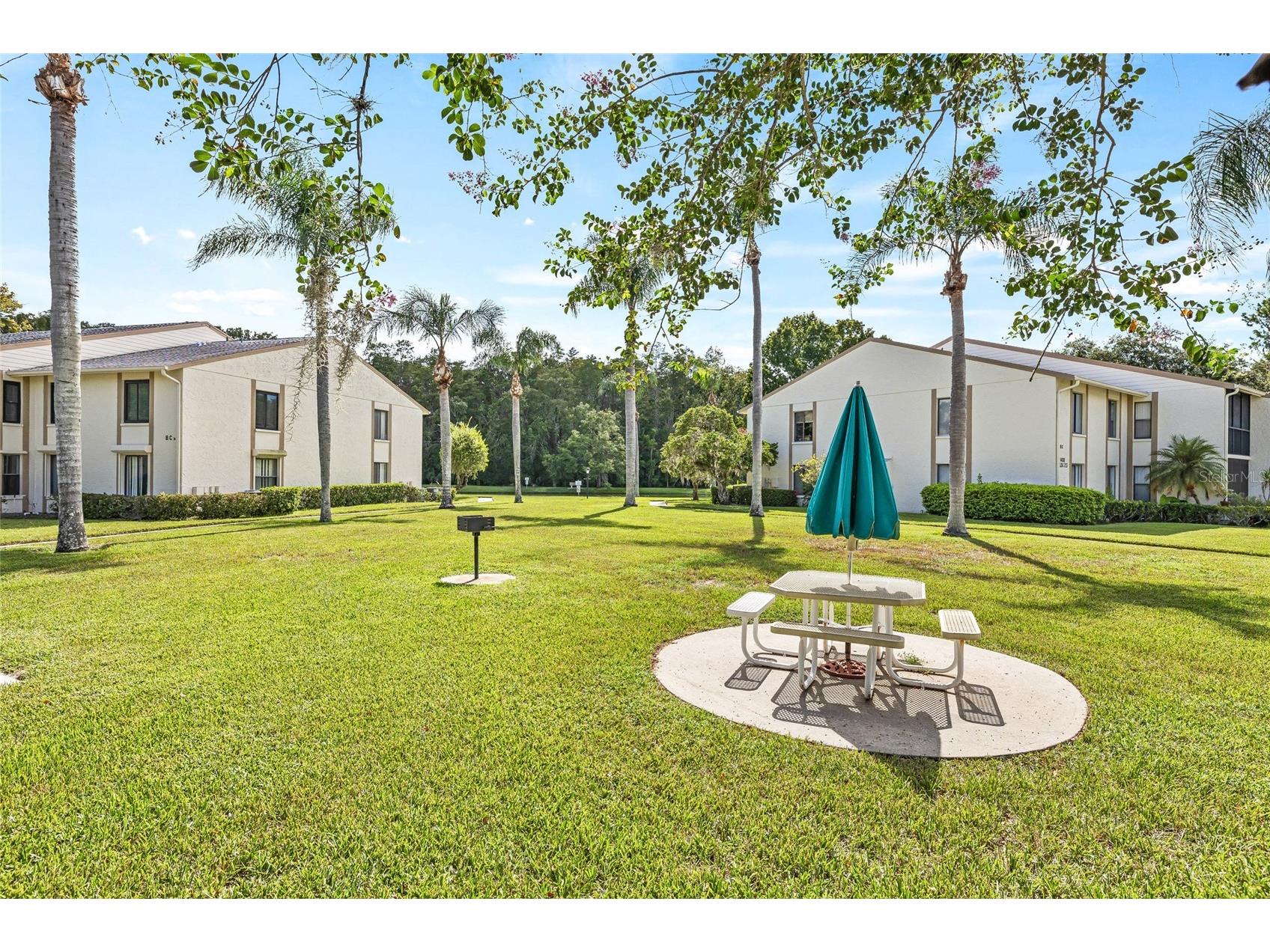 1400 Pine Glen Lane #D1 Tarpon Springs FL 34688 TB8425110 image51