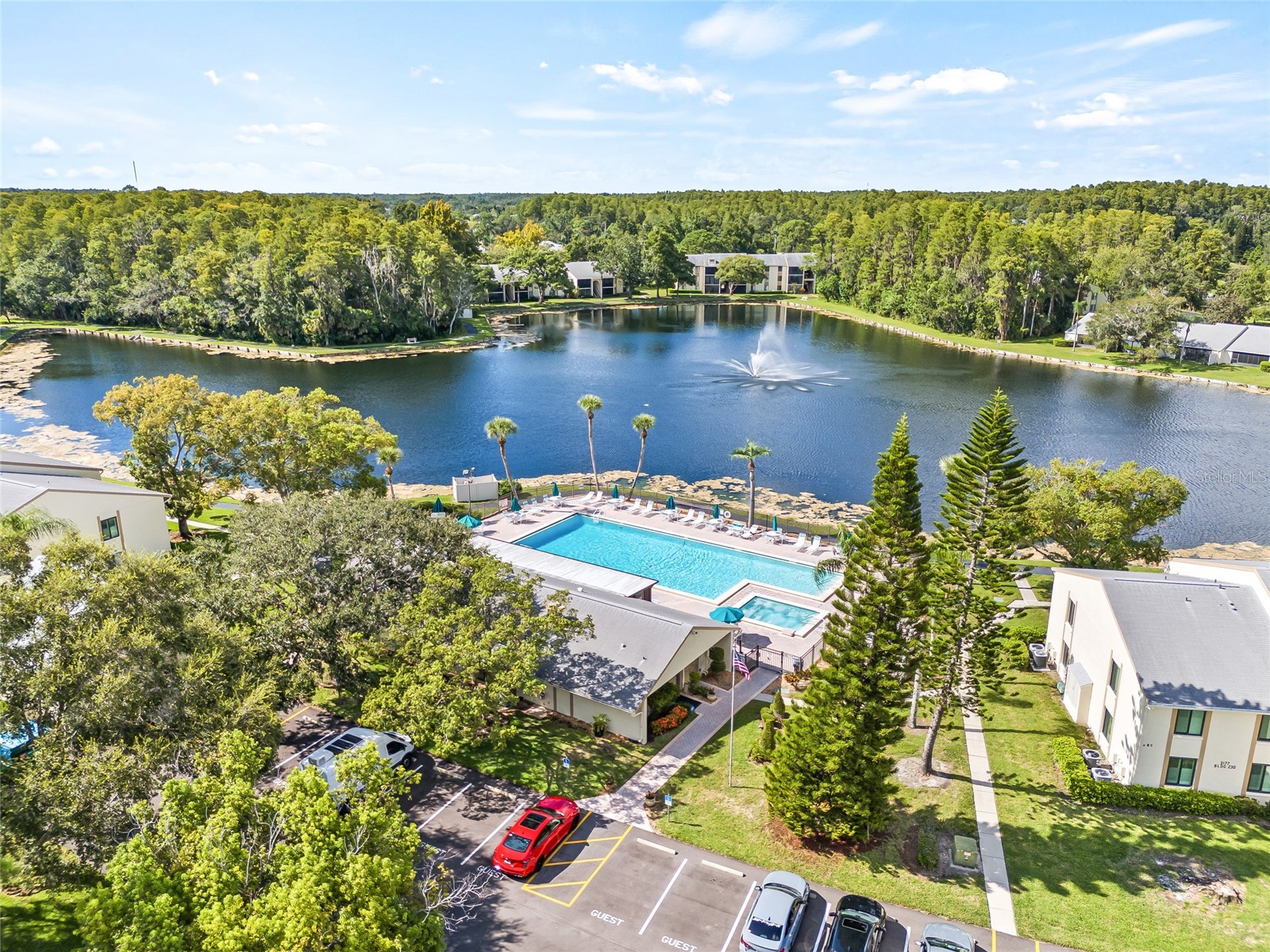 1400 Pine Glen Lane #D1 Tarpon Springs FL 34688 TB8425110 image6