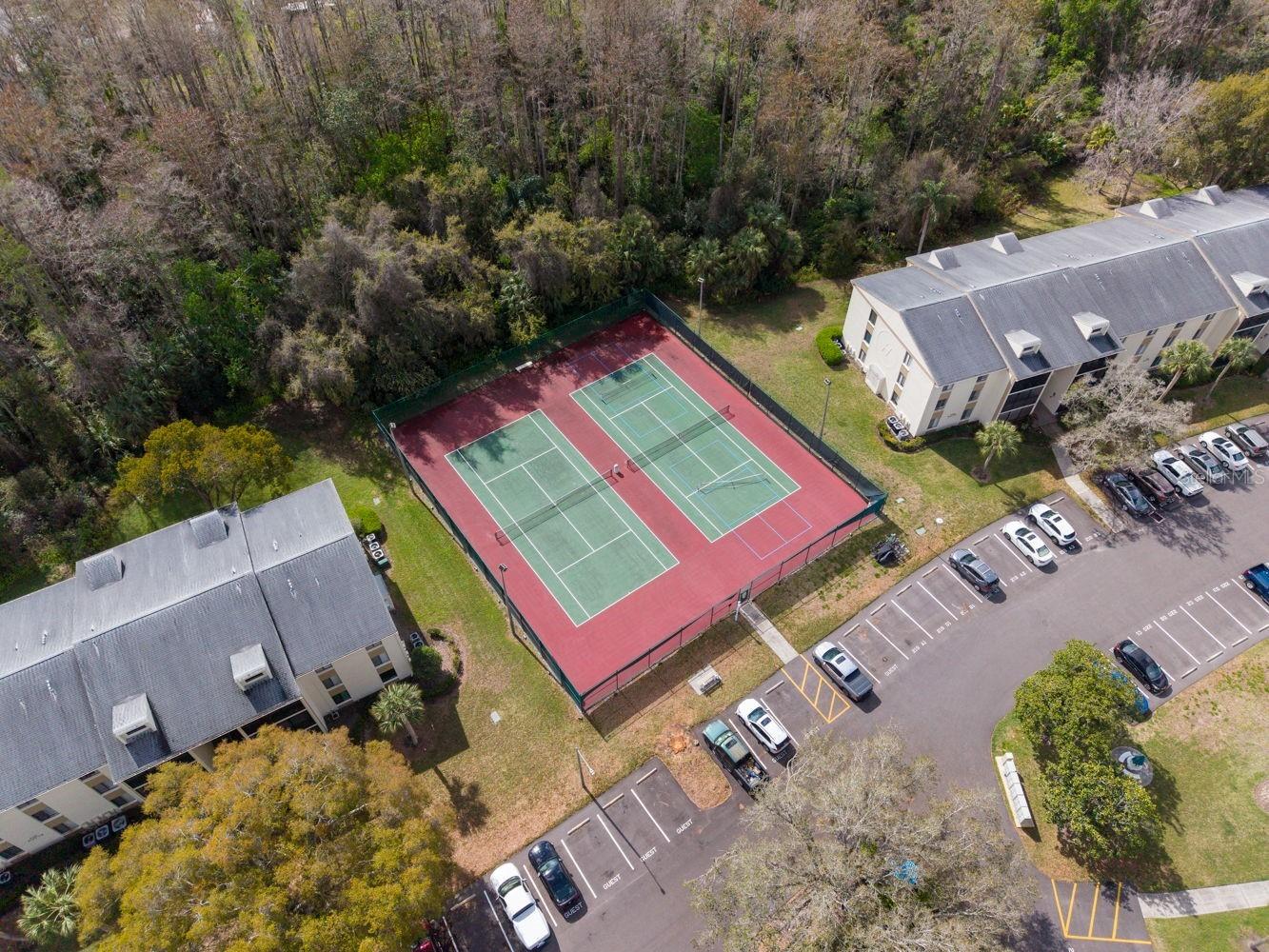 1400 Pine Glen Lane #D2 Tarpon Springs FL 34688 TB8486648 image35